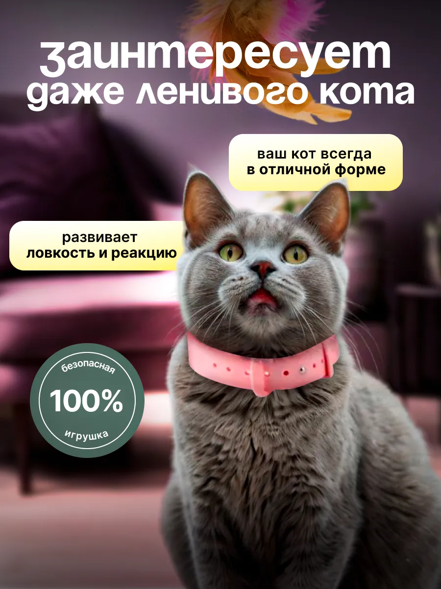 Звуки для кошек привлекающие