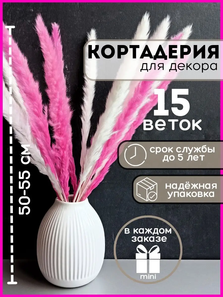 Сухоцветы для декора пампасная трава кортадерия Home.vb 168136313 купить в  интернет-магазине Wildberries