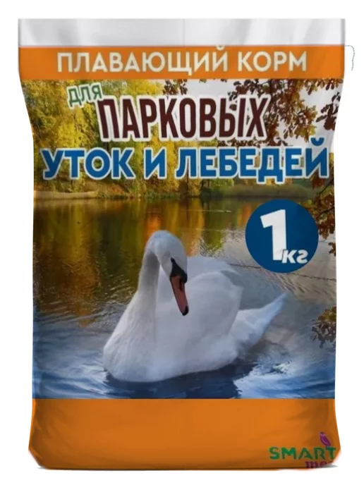 Чем кормить гусей летом? Откорм птицы к осени и праздникам. Фото — Ботаничка