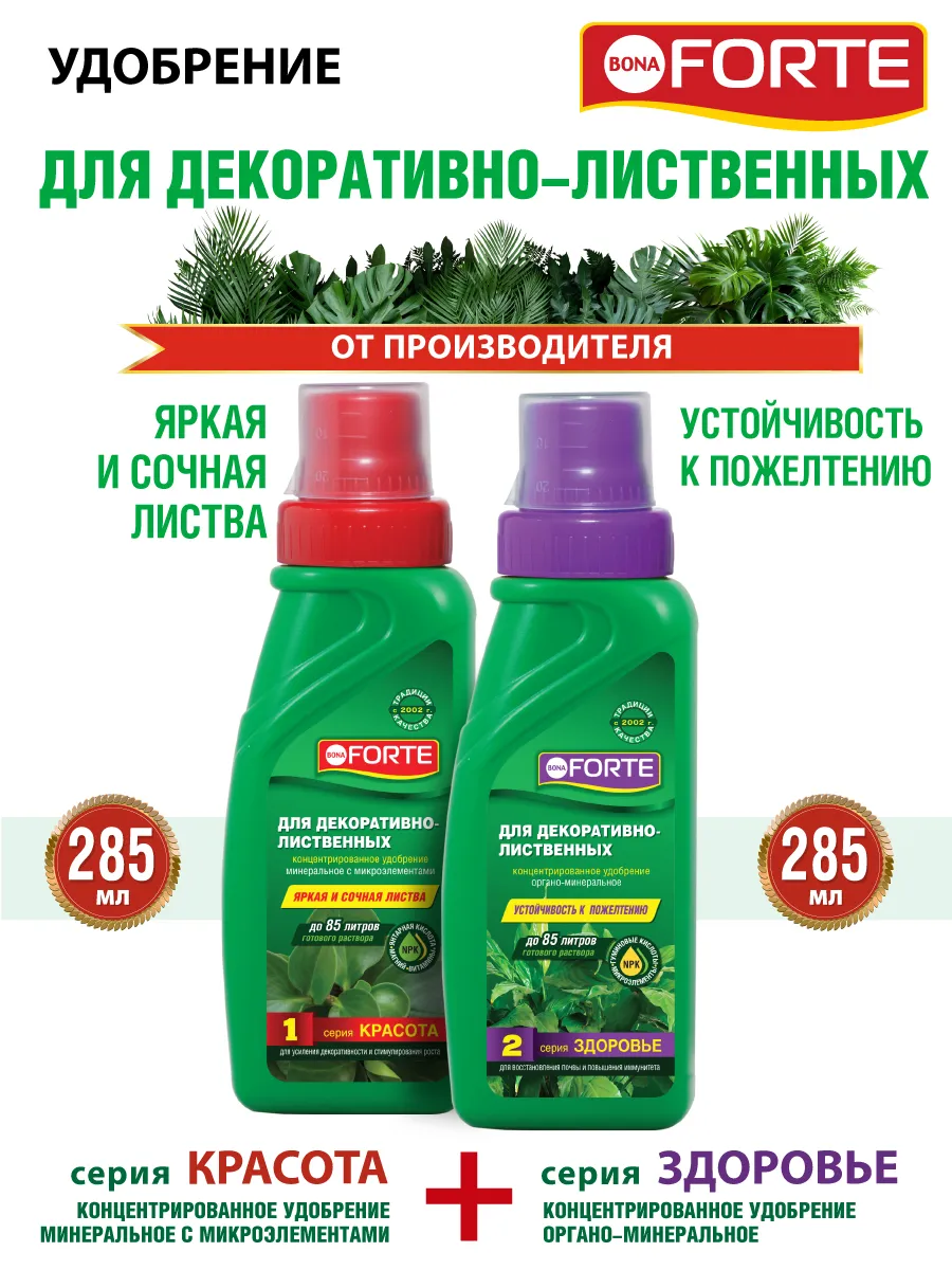 Удобрения для декоративно-лиственных комнатных растений