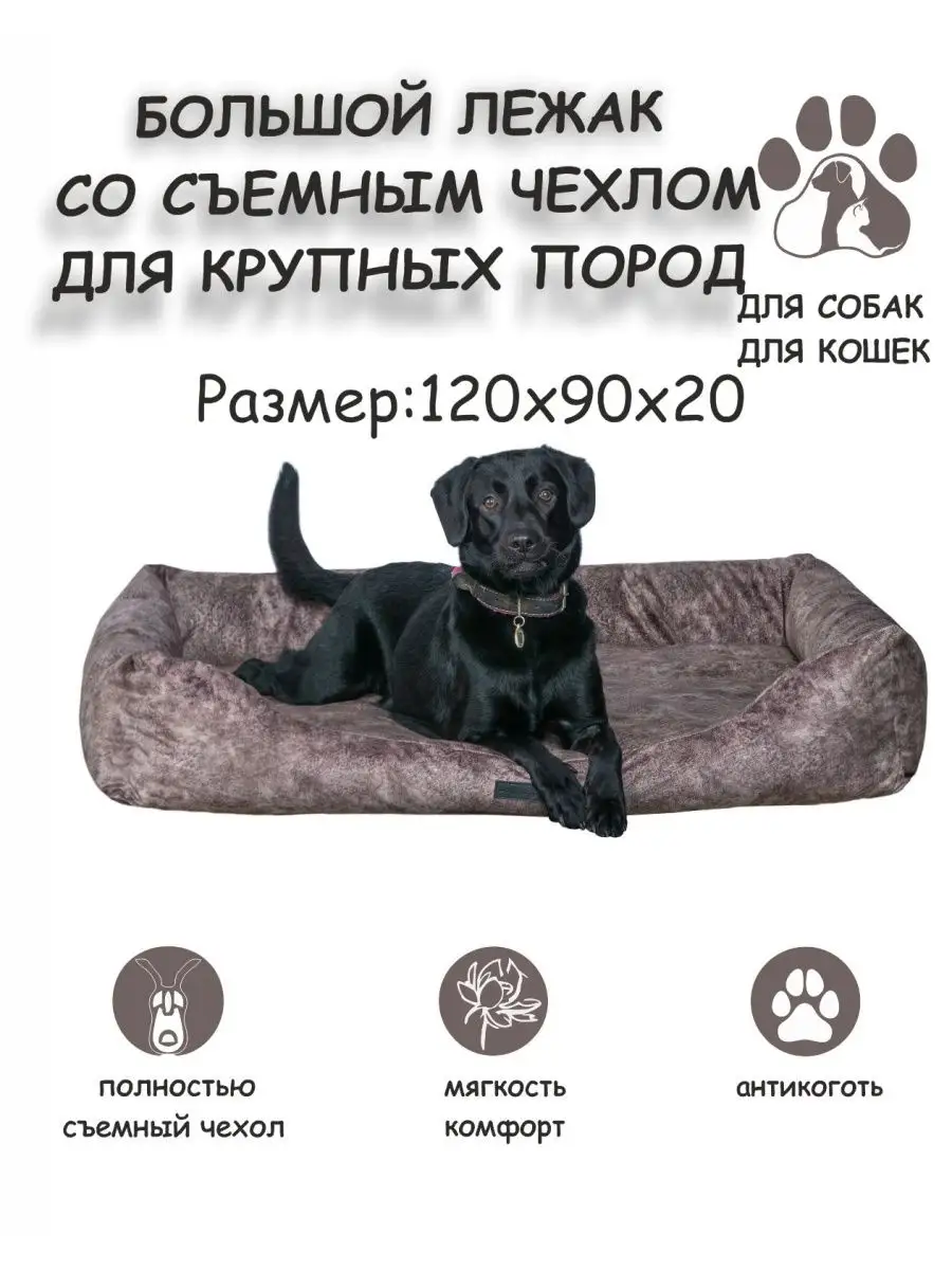 Одежда для собак DOGMODA: купить одежду для собак, красивая одежда для собак