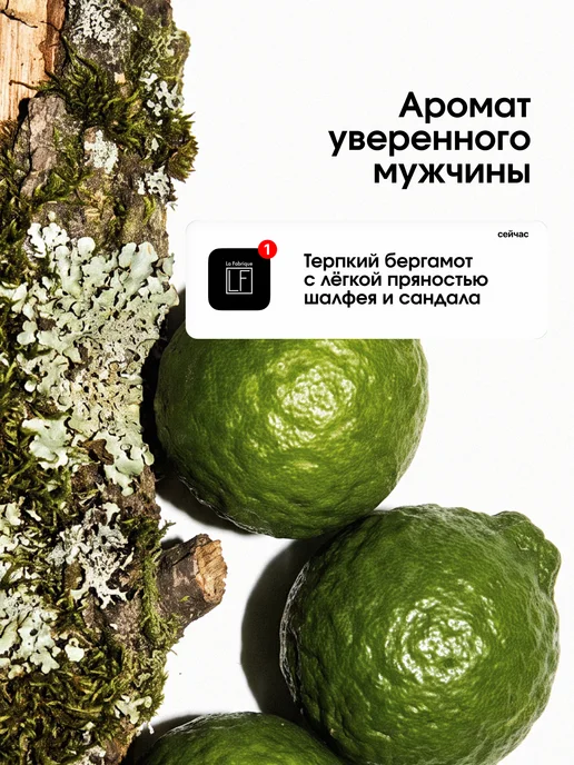La Fabrique Мужской Шампунь-гель для волос 500 мл Табак Бергамот, 500 мл, фото 2