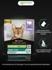 Сухой корм для стерилизованных кошек и котов RENAL PLUS 7 кг PRO PLAN 147041077 купить за 7 035 ₽ в интернет‑магазине Wildberries