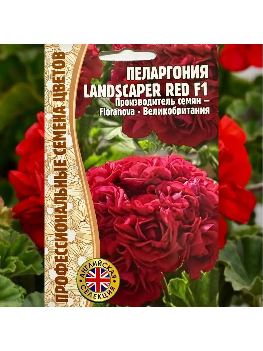 Семена цветов Пеларгония Landscaper Red герань многолетник Трифонова Ю.Н.  168331340 купить за 351 ₽ в интернет-магазине Wildberries