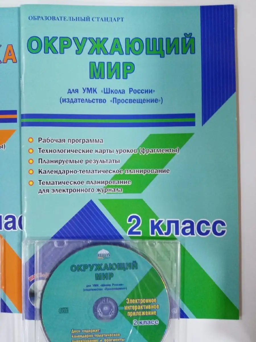 УМК Школа России 2 класс. Рабочие программы Планета 168343810 купить в  интернет-магазине Wildberries