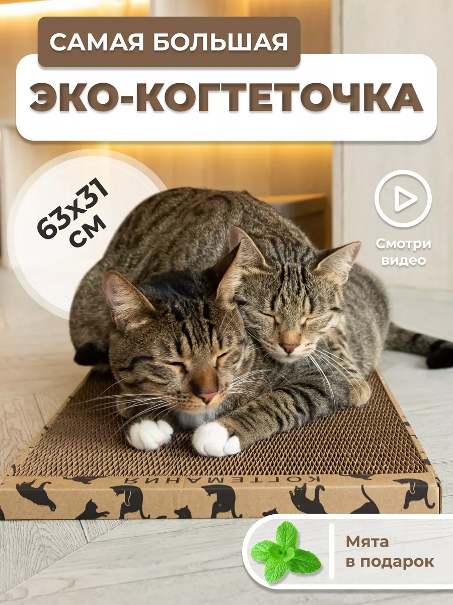 Когтеточки для кошек, домики, лежаки | Купить с доставкой