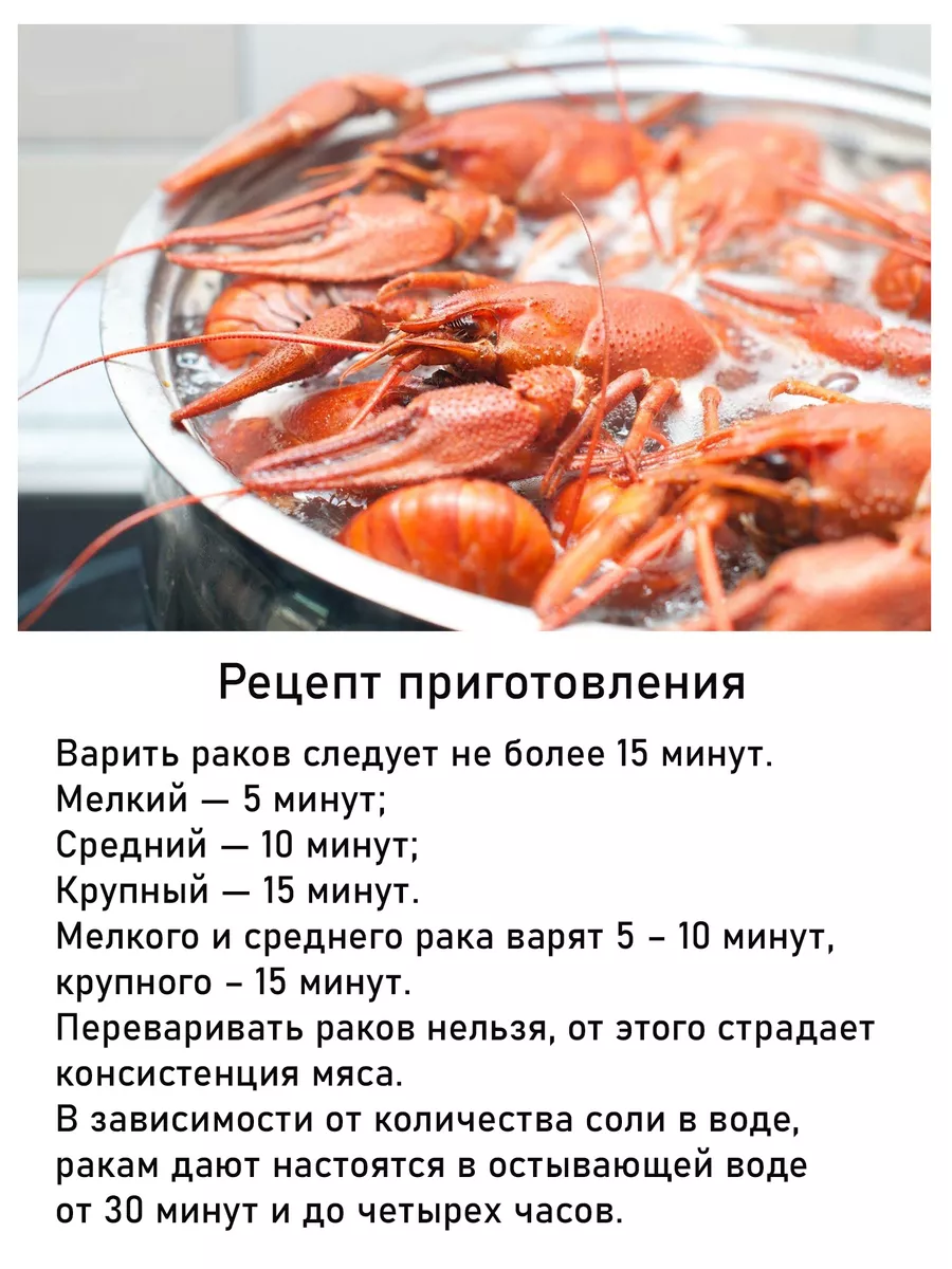 Раколовка гармошка набор 3 штуки Master Fish Group 168389223 купить за 2  088 ₽ в интернет-магазине Wildberries