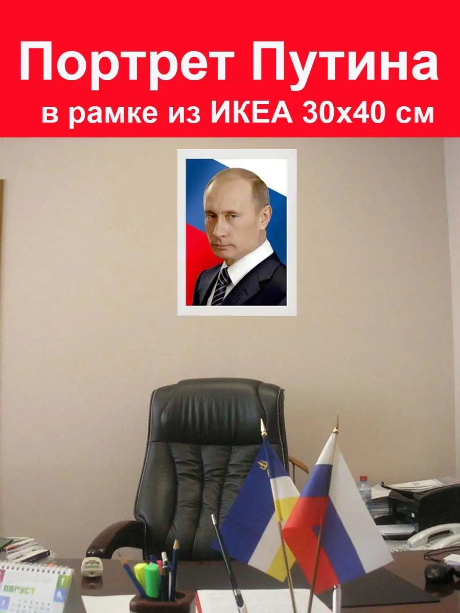 Портрет Путина в рамке из ИКЕА 30х40 см / Президент России СССР 168441267  купить за 1 035 ₽ в интернет-магазине Wildberries