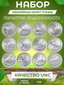 Набор из 12-ти монет 1 куруш Анталийские птицы 2020 Монетный дилер 168450042 купить за 865 ₽ в интернет-магазине Wildberries
