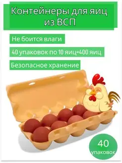 Упаковка для яиц, лотки одноразовые ВСП 40 шт Pettown 168461323 купить за 594 ₽ в интернет-магазине Wildberries