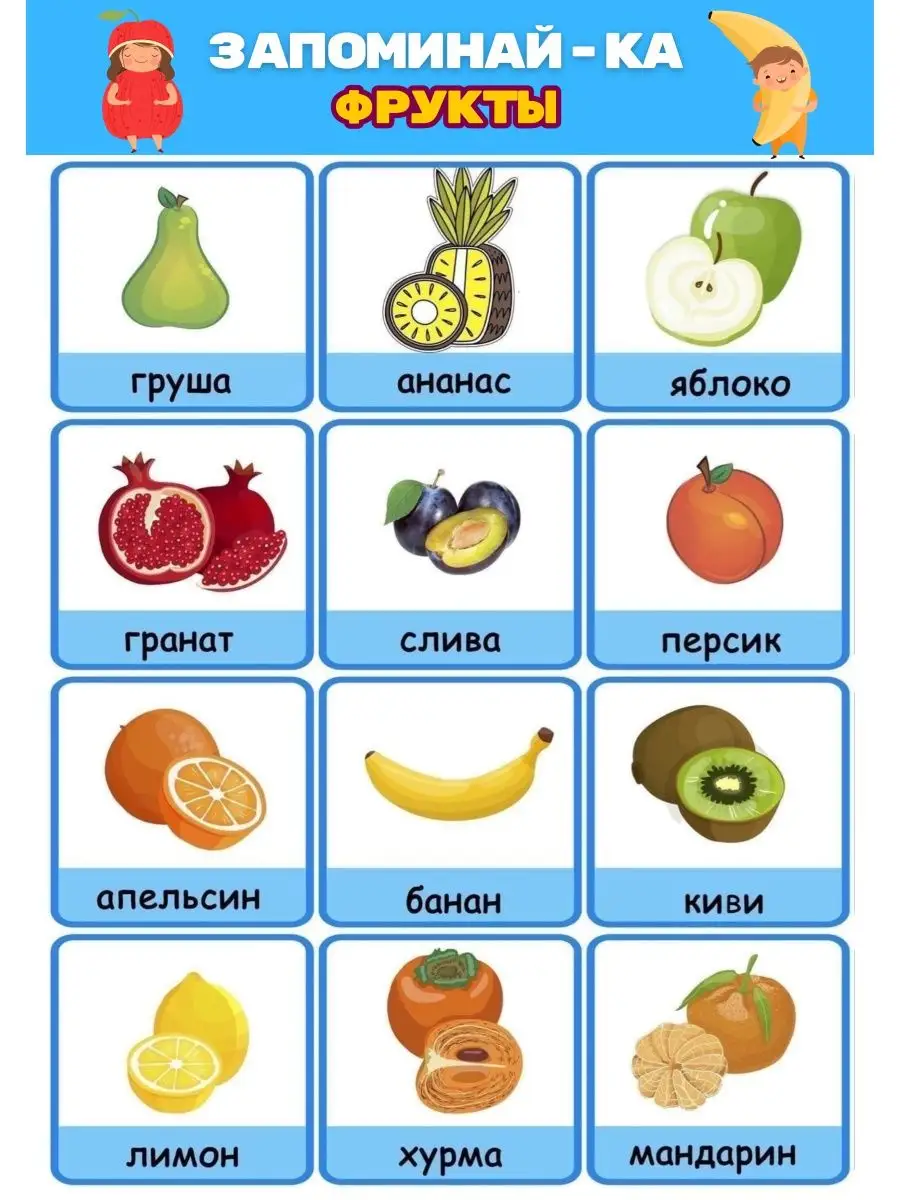 ООО Русторг Обучающий плакат для детей фрукты