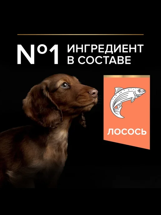 Сухой корм PRO PLAN Skin для собак, мелкие, чувствительное пищеварение, щенки, 0,7 кг, фото 3