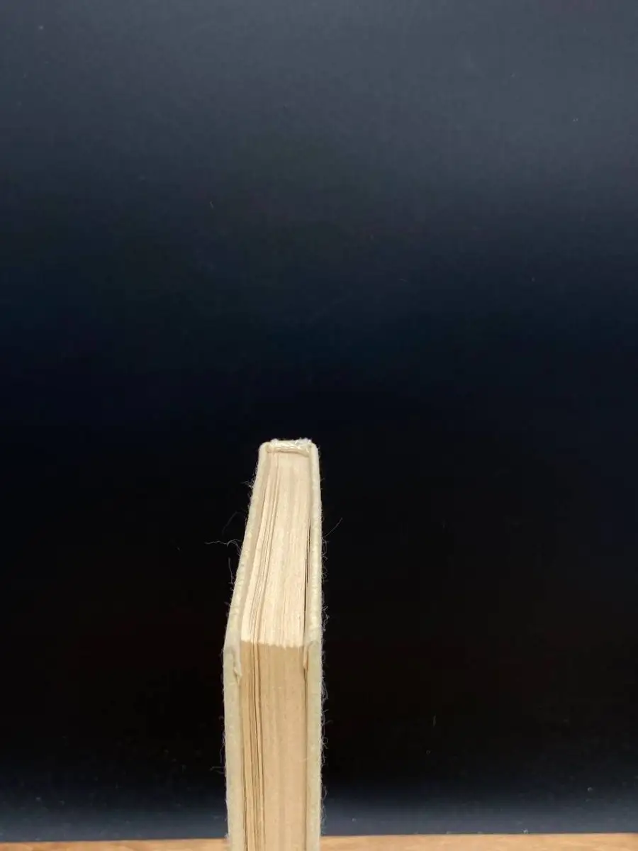 Фото 4