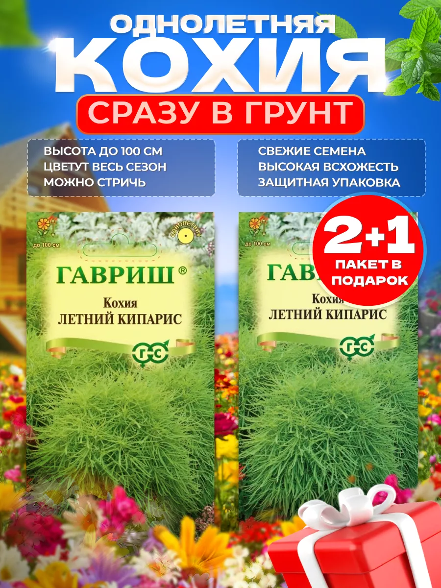 Набор семена цветов однолетников, кохия семена Гавриш 168558193 купить за  192 ₽ в интернет-магазине Wildberries