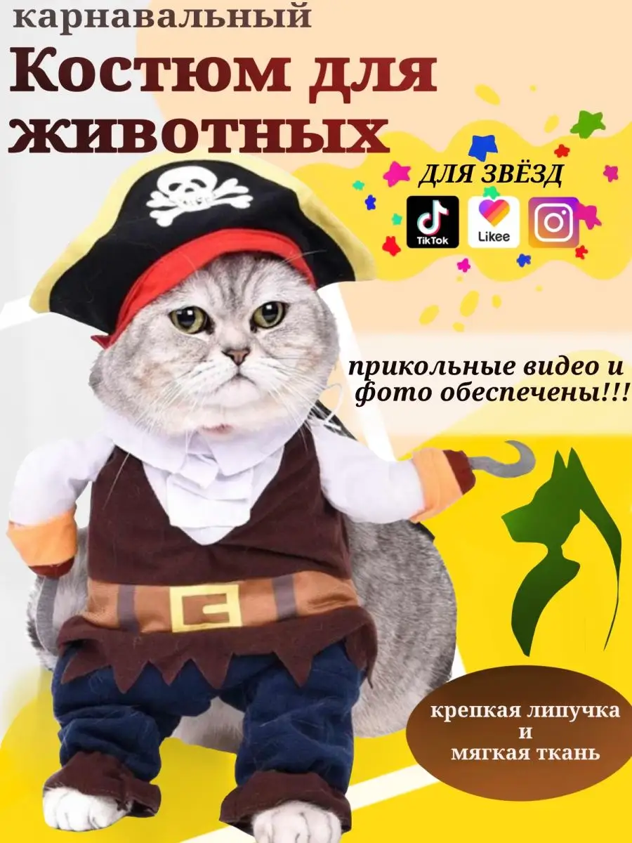 Игры Ударный Отряд Котят