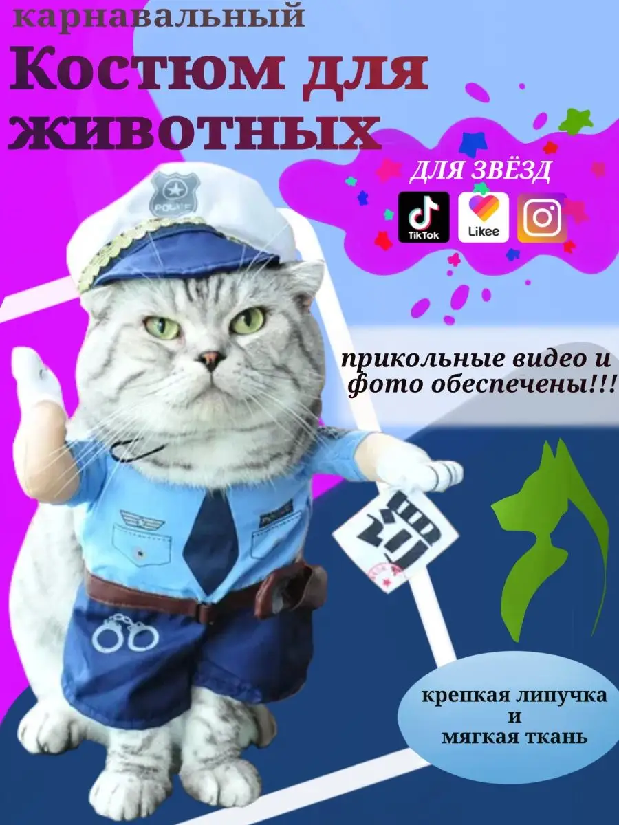 Карнавальные костюмы Кота