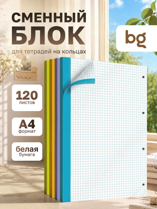 BG Листы для тетради на кольцах А4 120 листов, вариант