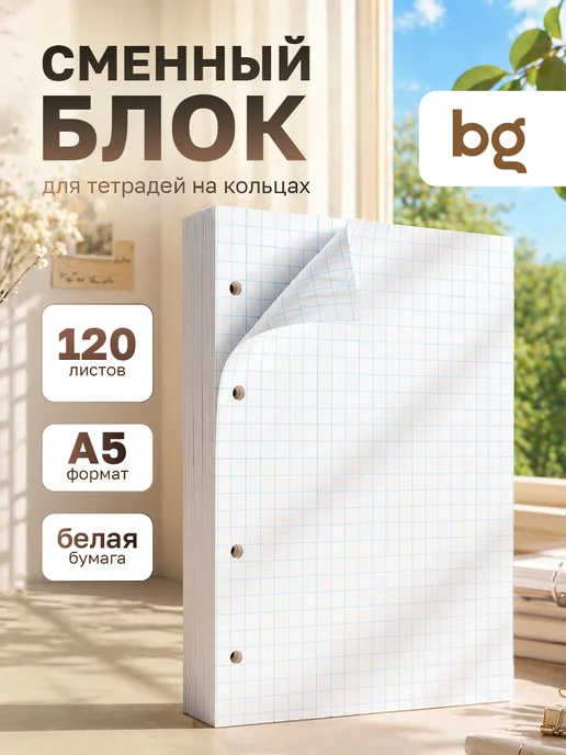 BG Листы для тетради на кольцах А5 120 листов, вариант