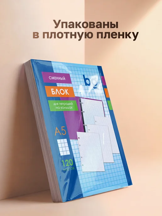 BG Листы для тетради на кольцах А5 120 листов, вариант, фото 7