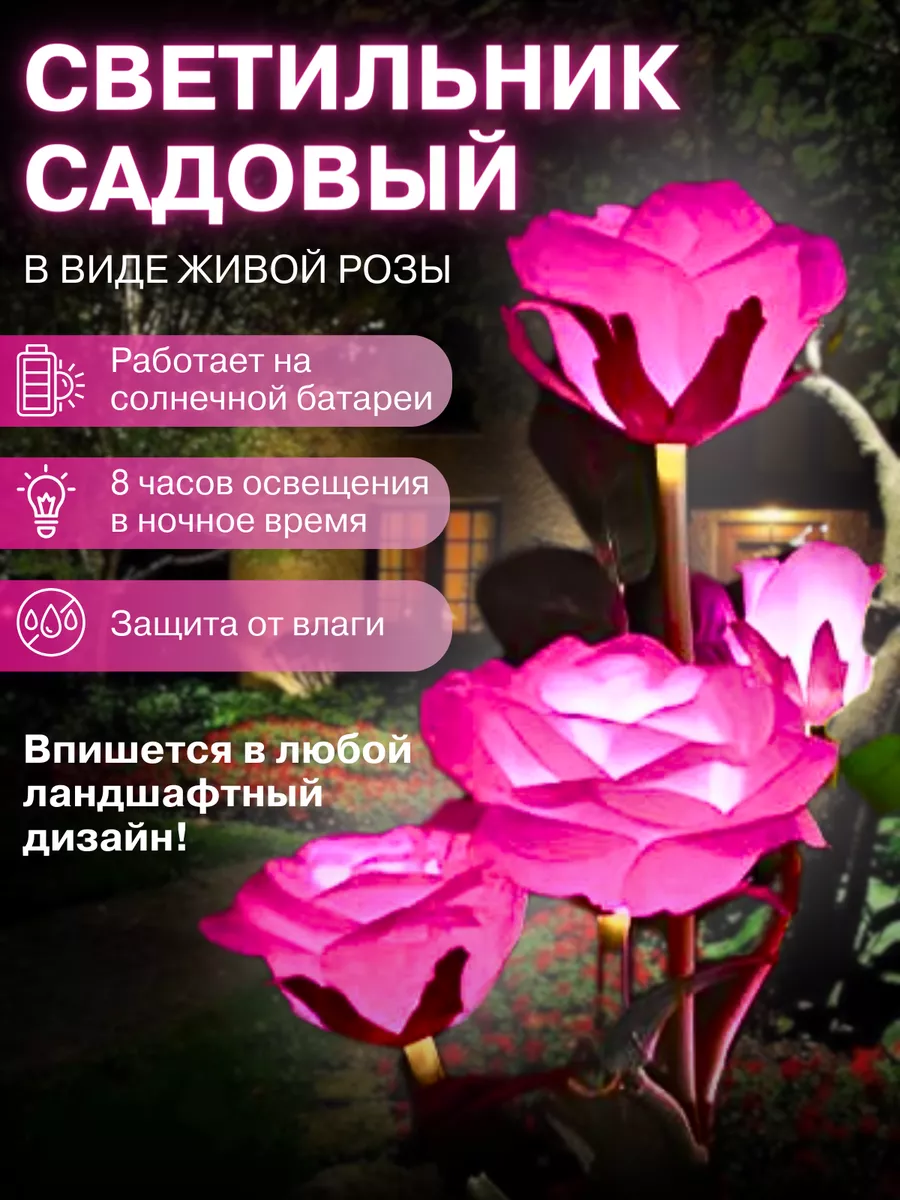 Светящаяся роза на...