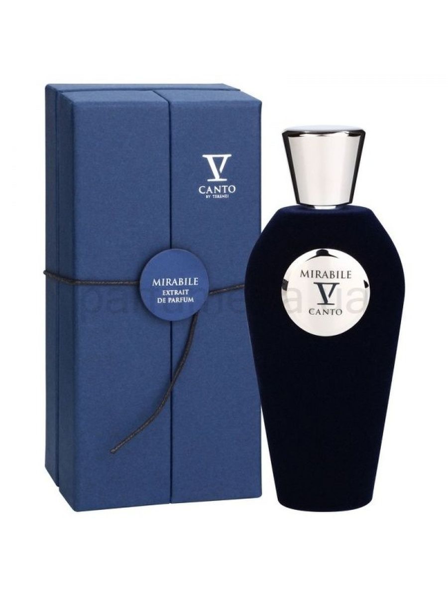 V canto. V Canto p.d.f. EDP 100ml. Силиконовые духи v Canto. Туалетная вода Art Parfum Alibi perfect. Canto cuerguno духи.