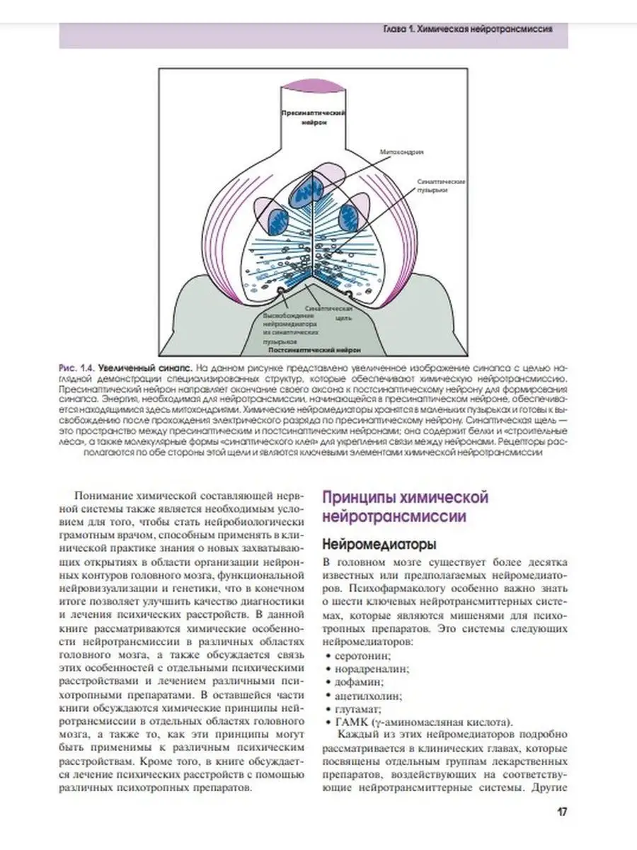 Основы психофармакологии. Теория и практика ГЭОТАР-Медиа 168585722 купить  за 6 475 ₽ в интернет-магазине Wildberries