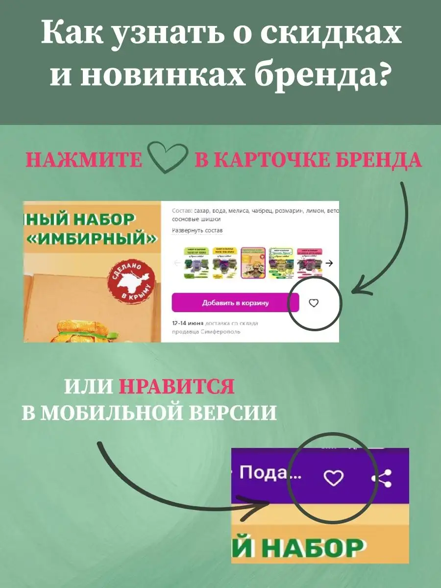 Букет Крымского Лимонника Ежевика-АРТ 168589601 купить за 435 ₽ в  интернет-магазине Wildberries