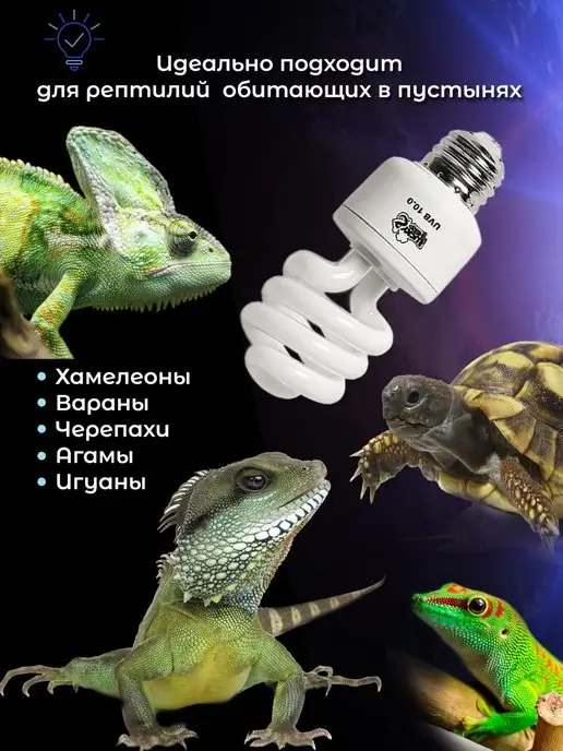 Lucky Herp Лампа ультрафиолетовая для рептилий UVB 10.0 13W, 13 Вт, фото 4