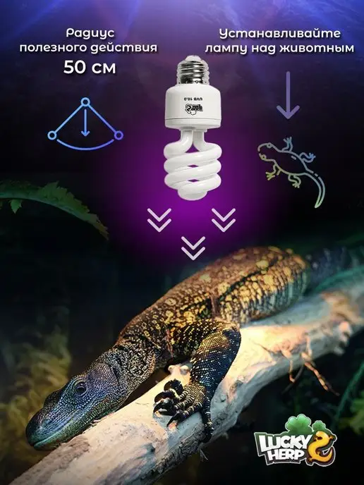 Lucky Herp Лампа ультрафиолетовая для рептилий UVB 10.0 13W, 13 Вт, фото 8