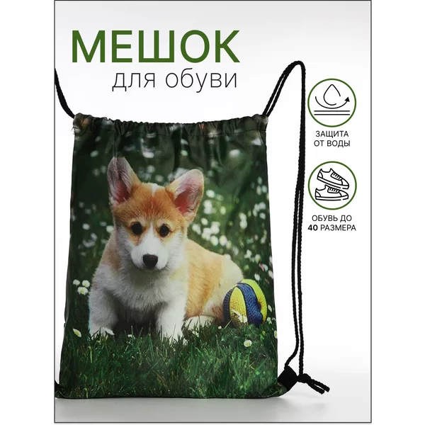 Мешок для обуви на шнурке
