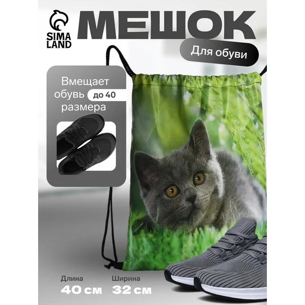 Мешок для обуви на шнурке