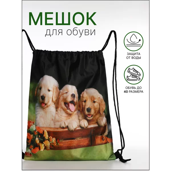 Мешок для обуви на шнурке