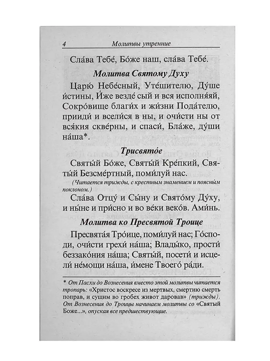 Молитвослов с правилом ко Святому Причащению Православные книги 168684682  купить за 144 ₽ в интернет-магазине Wildberries