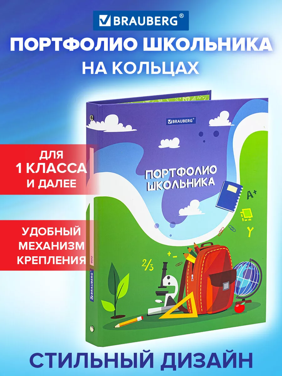 Портфолио школьника, дошкольника папка, А4 на кольцах