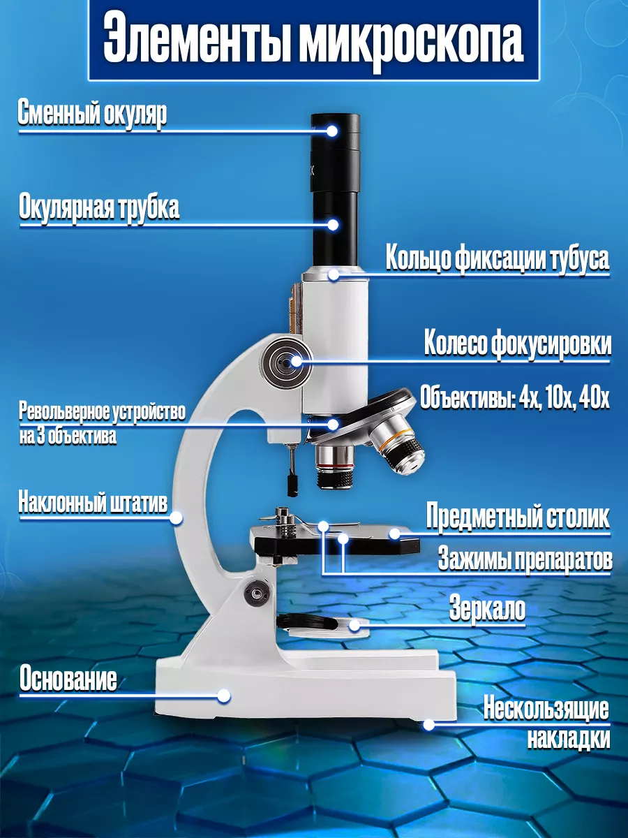 Микроскоп школьный биологический С-13 2400x с препаратами DigiMicro  168757835 купить за 4 425 ₽ в интернет-магазине Wildberries