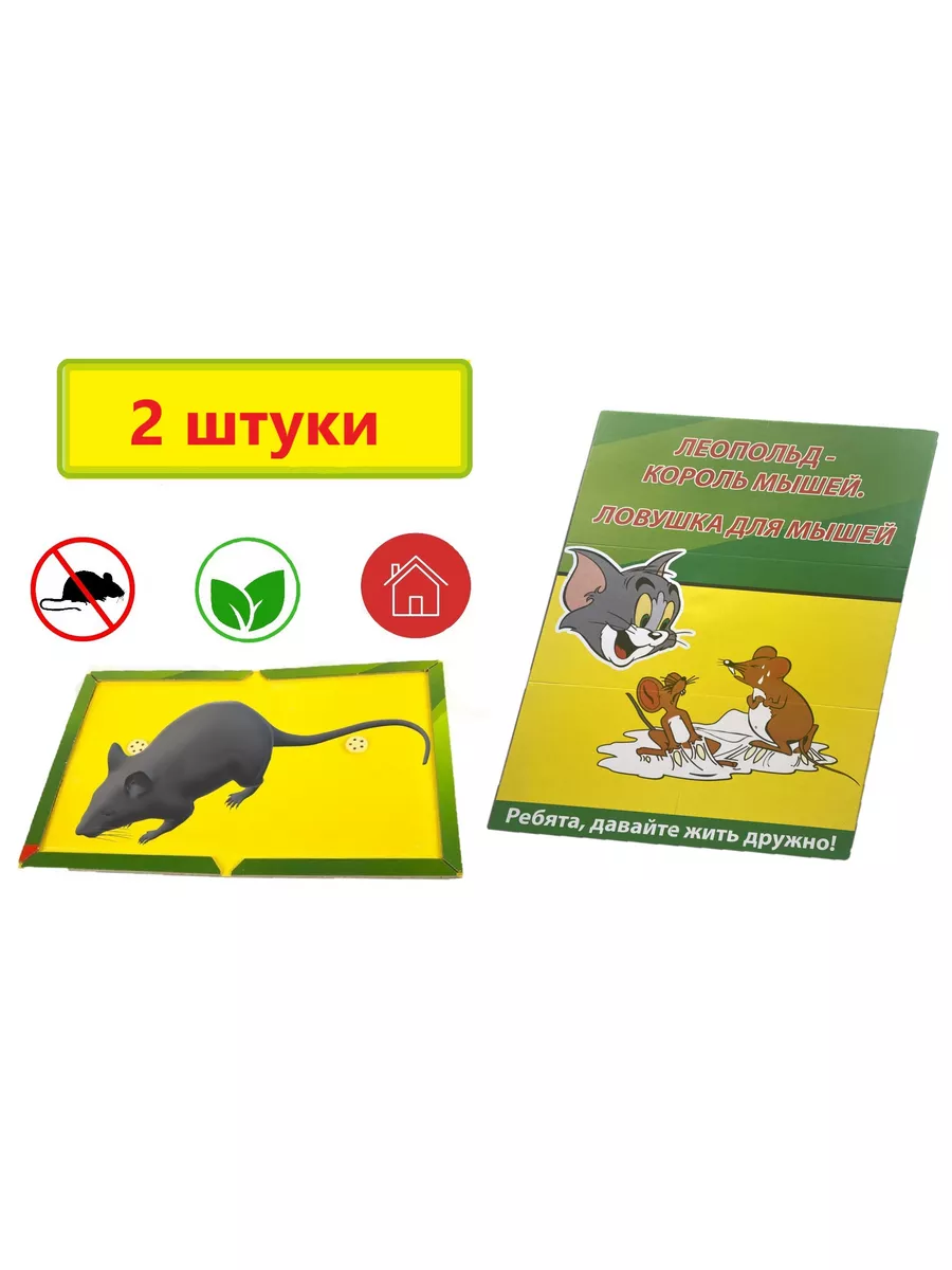 Ловушка для мышей: 9 простых и проверенных способов обезвредить вредителя