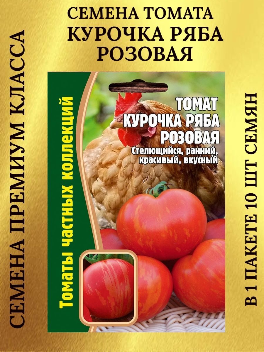 Томат курочка ряба описание сорта фото. Томат турецкий стелющийся. Томат Курочка Несушка. Помидоры Курочка Ряба описание сорта. Помидор Курочка Ряба отзывы.