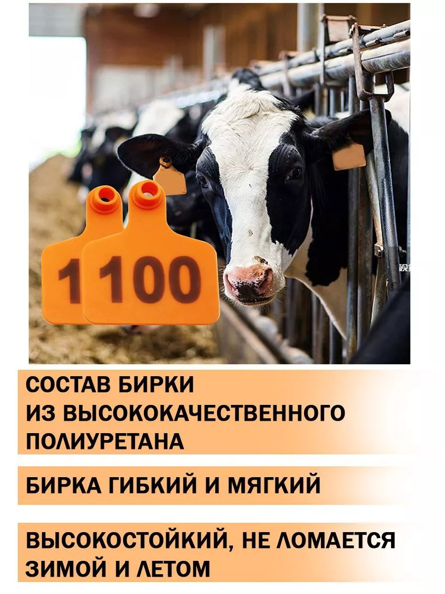 Bigfarm Бирки ушные для коров и телят , Крс