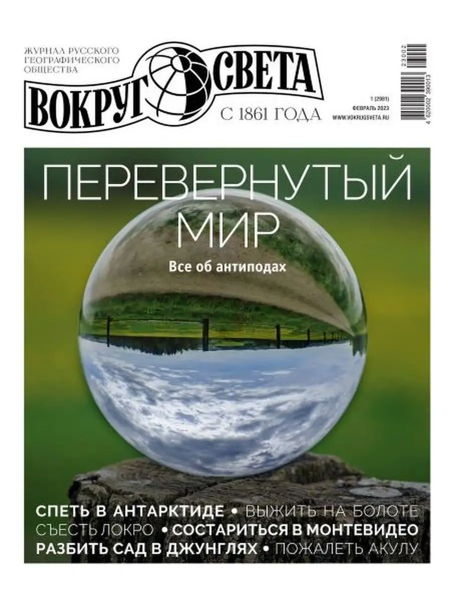 Все в сад: готовимся к летнему сезону в Галерее дизайна | bulthaup