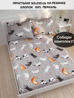 Простынь на резинке 160х200 х26 см перкаль Сказка Kitties Кот Коттон 168814245 купить за 988 ₽ в интернет-магазине Wildberries