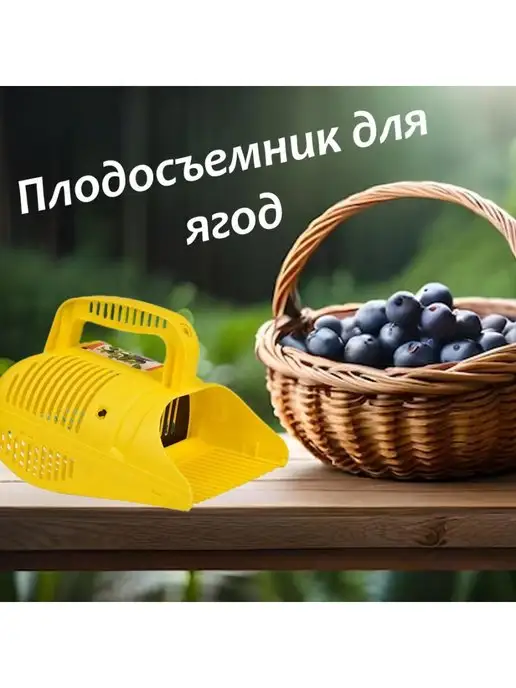 Товары для дачи