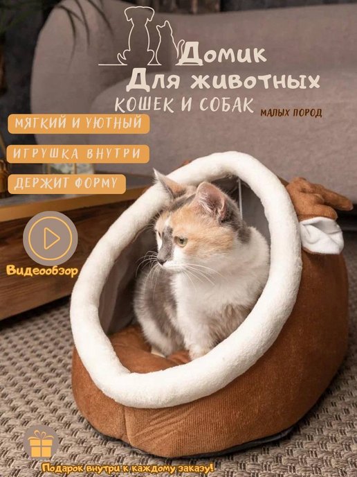 Домик для кошки: купить от ₽ в Воронеже