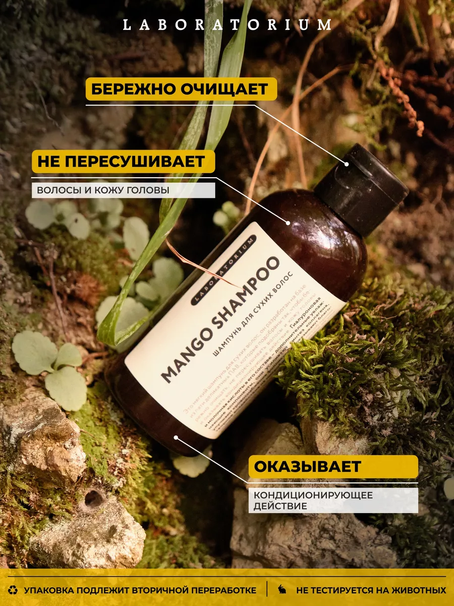 Шампунь для сухих волос (Mango Shampoo) 100 мл Laboratorium 168836163  купить за 357 ₽ в интернет-магазине Wildberries