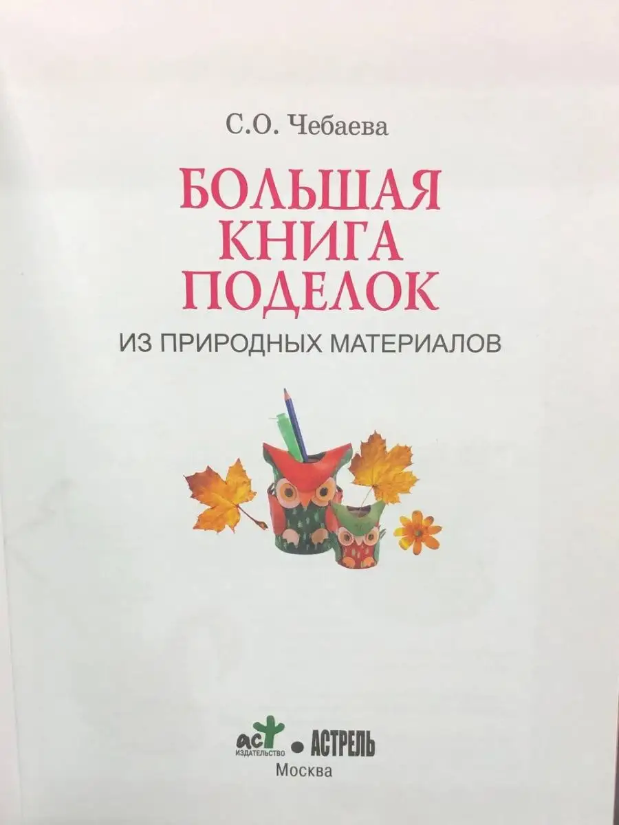 Большая книга поделок из природных материалов Астрель 168882486 купить в  интернет-магазине Wildberries