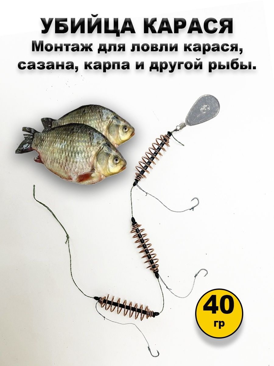 Ловля карася: советы, фото, видео - база отдыха Трёхречье (Ахтуба, Харабали)