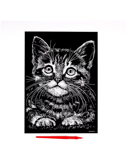Школа талантов Гравюра "Котёнок" с металлическим эффектом "золото" А4, золотой, фото 4