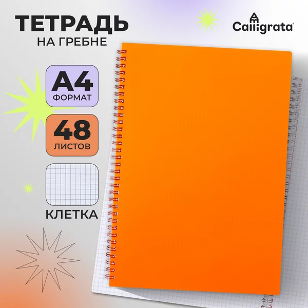 Тетрадь на гребне для школы 1-11 A4, 48 листов в клетку