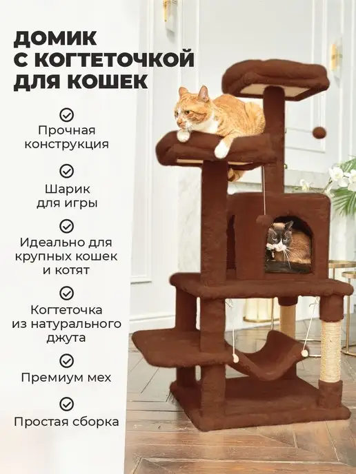 Лазилка для Кошек