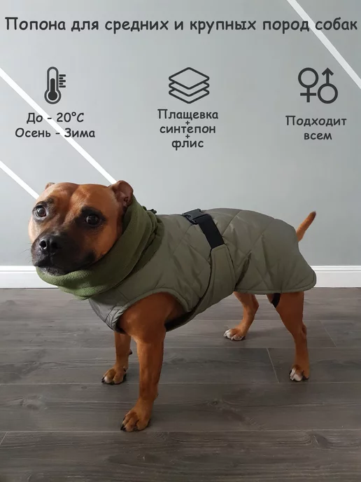 Послеоперационный бандаж для собаки (68 фото) - картинки internat-mednogorsk.ru