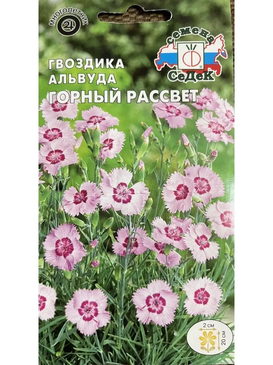 Гвоздика Горный рассвет СеДек 169011177 купить за 134 ₽ в интернет-магазине  Wildberries